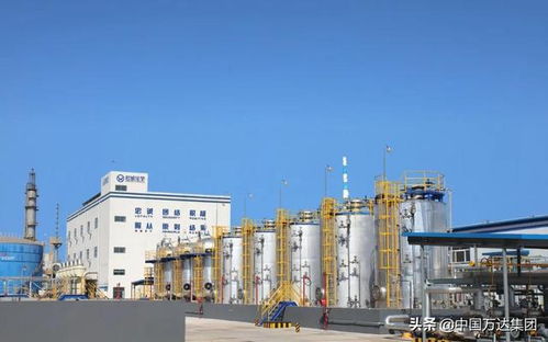 東營2021年重點(diǎn)項目觀摩 萬達(dá)集團(tuán)四大項目引領(lǐng)產(chǎn)業(yè)升級，助推國內(nèi)旅游業(yè)務(wù)發(fā)展